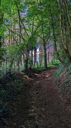 Chemin de randonnée à Bretoncelles