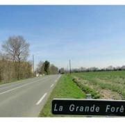 La grande foret