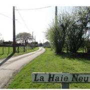 La haie neuve