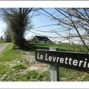 La levretterie