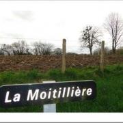 La moitilliere