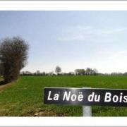 La noe du bois