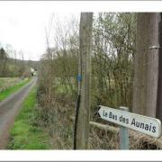 Le bas des aunaies