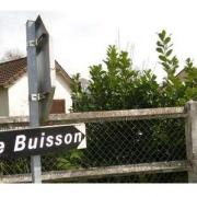 Le buisson