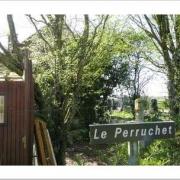 Le perruchet