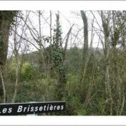 Les brissetieres