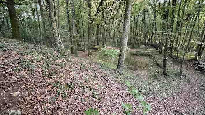 Motte castrale de Bretoncelles