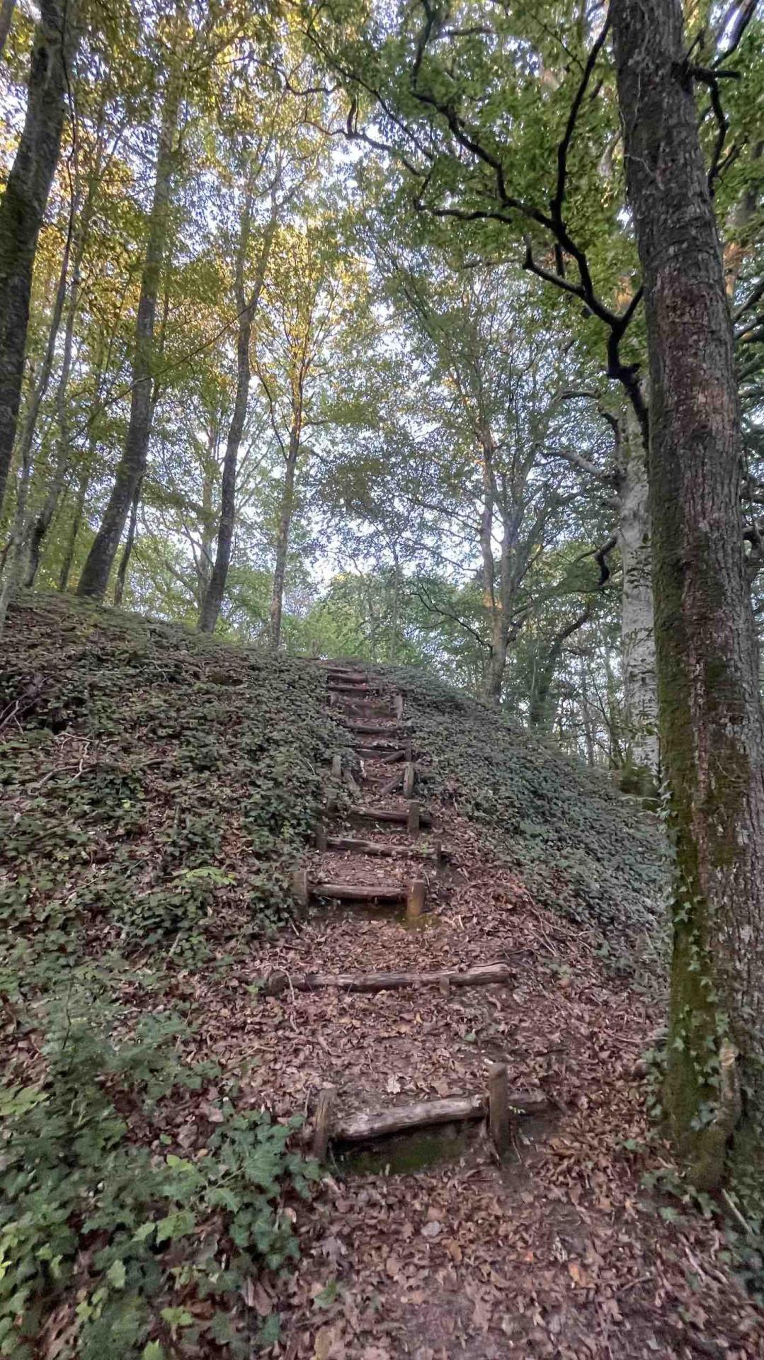 Motte castrale de Bretoncelles