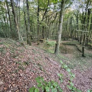 Castle mound in Bretoncelles