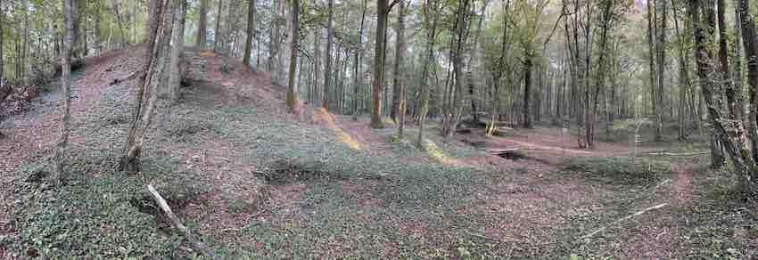 Motte castrale en forêt de Saussey